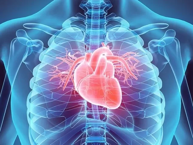 heart-health-lafarrerr.jpg