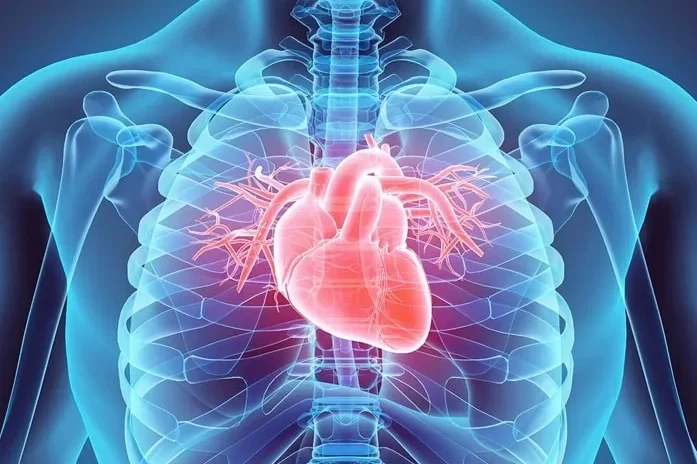 heart-health-lafarrerr.jpg