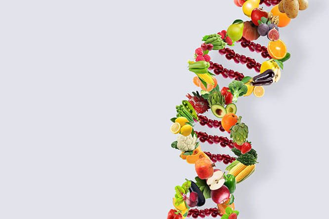 personalnutrition